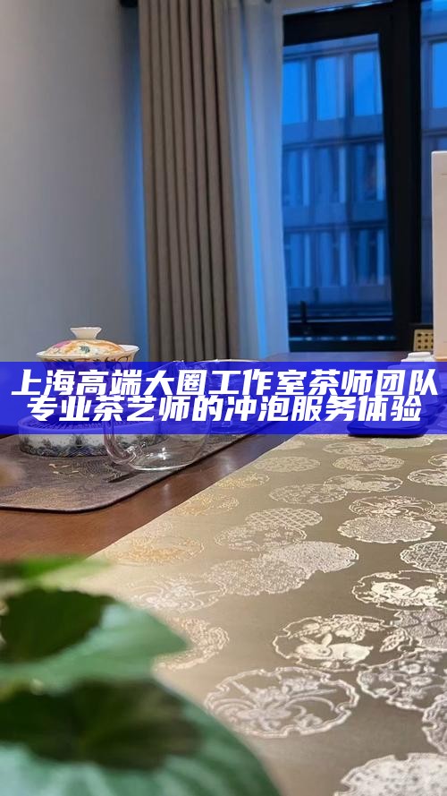 上海高端大圈工作室茶师团队 专业茶艺师的冲泡服务体验