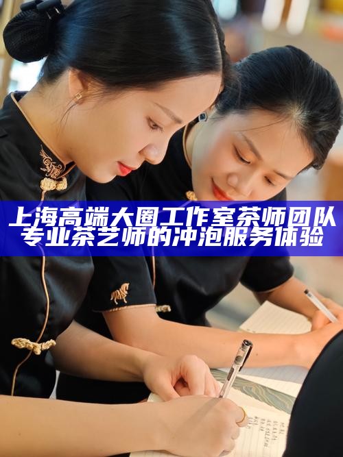 上海高端大圈工作室茶师团队 专业茶艺师的冲泡服务体验