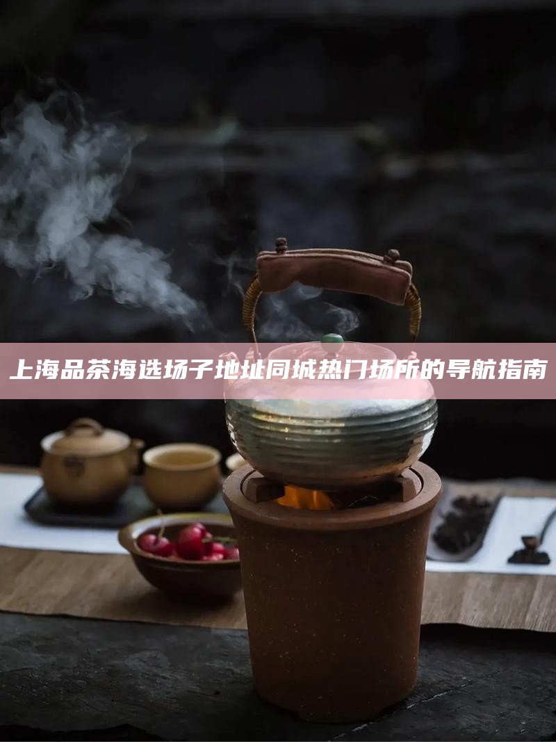 上海品茶海选场子地址 同城热门场所的导航指南