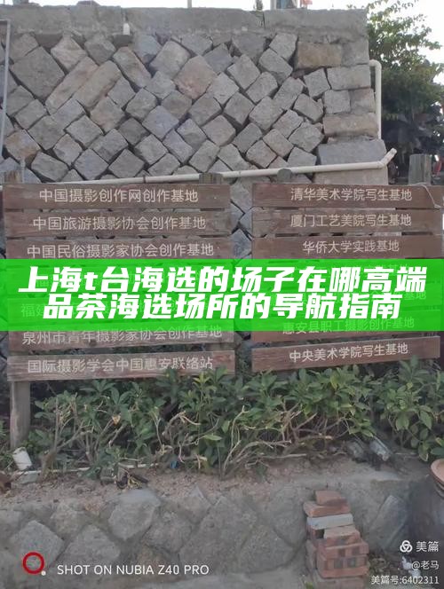 上海 t 台海选的场子在哪 高端品茶海选场所的导航指南