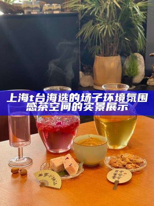 上海 t 台海选的场子环境 氛围感茶空间的实景展示