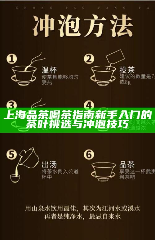 上海品茶喝茶指南 新手入门的茶叶挑选与冲泡技巧